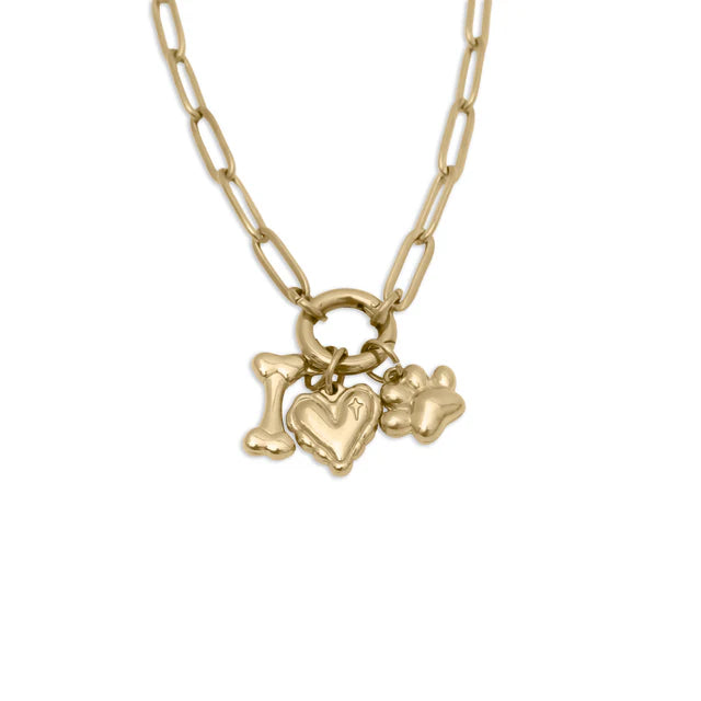 Charmable Pet Charm Holder Necklace DIY! – BE CHARMABLE
