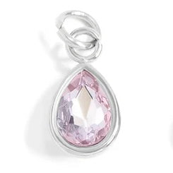 Teardrop Birthstone Charm - Stainless
