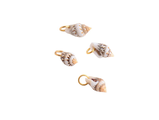 Seashells Charms