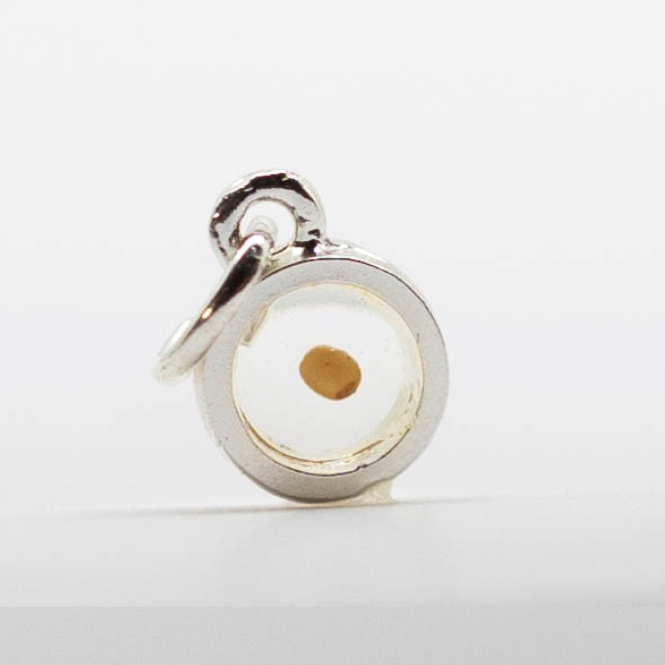Mustard Seed Charm