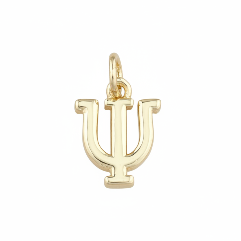 IU Charm